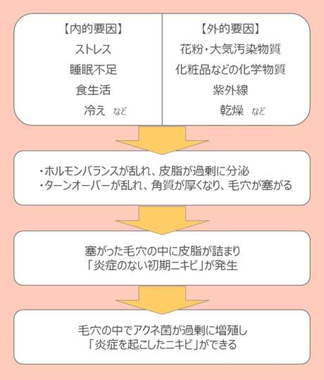 ニキビができるメカニズム