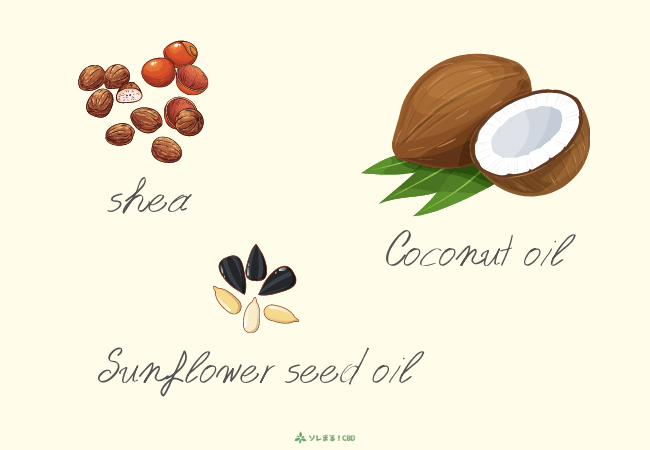 その他：シアバター、ひまわり種子油、ココナッツオイル等