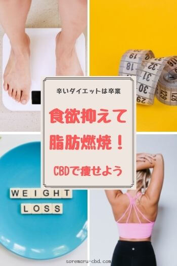 辛いダイエットは卒業！食欲抑制・脂肪燃焼する裏技 CBDで痩せよう！