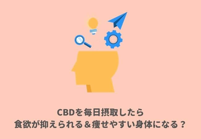 CBDでダイエット：毎日取り入れたら、食欲が抑えられる＆痩せやすい身体になる？